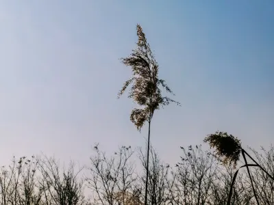 Bit4win Kasino Mobilná aplikácia